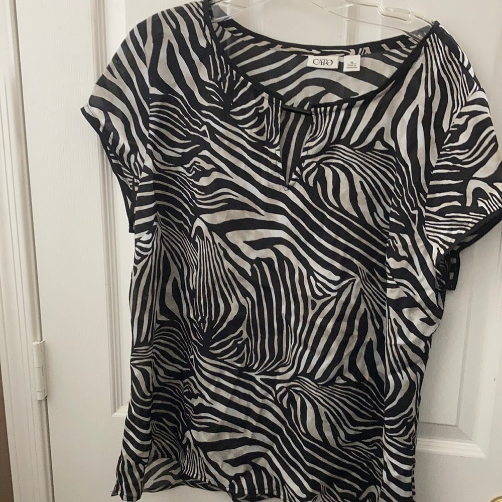 FINAL MARKDOWN Sheer ladies Cato top xl